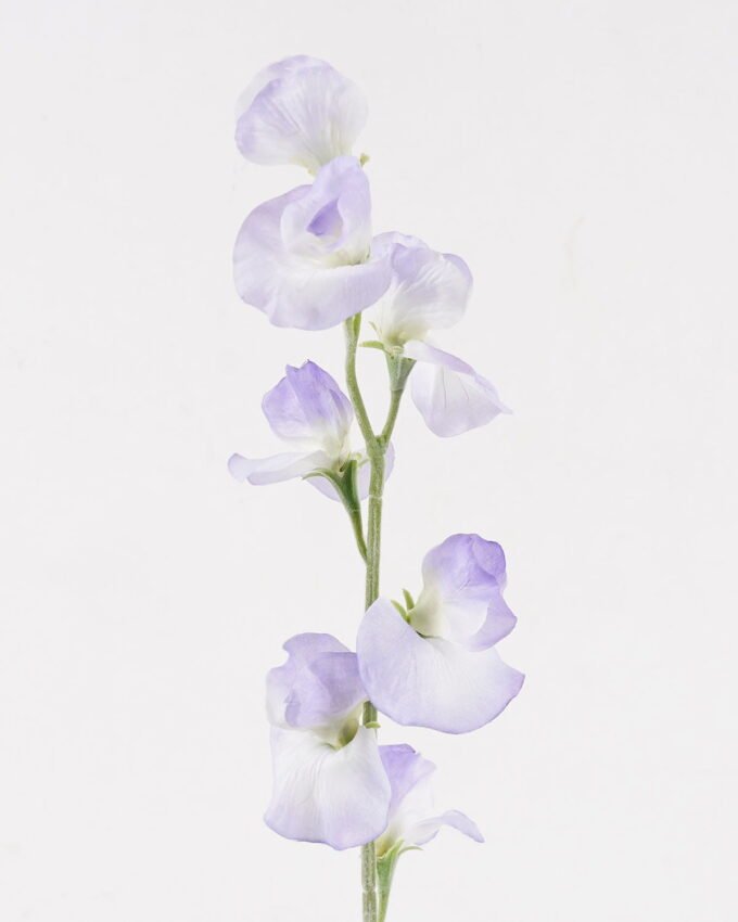 Artificial Flower 6*6*64 Sweet Pea Flowers single stem GS-17725029 2025JUL YeahFlower is one of Chinese leading OEM manufacturers and exporters , supplying the silk flowers, wholesale artificial trees