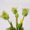 Artificial Flower Tulip 5 bundle GS-31325001_2 Artificial Flower 21*21*45cm Tulip *5 bundle GS-31325001 2025AUG YeahFlower is one of Chinese leading OEM manufacturers and exporters , supplying the silk flowers, wholesale artificial trees