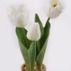 Artificial Flower 12*12*34cm Tulip in PP pot GS-46725044 2025JUL YeahFlower is one of Chinese leading OEM manufacturers and exporters , supplying the silk flowers, wholesale artificial trees