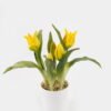 Artificial Flower 10*10*25cm Tulipa *5 in pp pot GS-46725059 2025JUL YeahFlower is one of Chinese leading OEM manufacturers and exporters , supplying the silk flowers, wholesale artificial trees