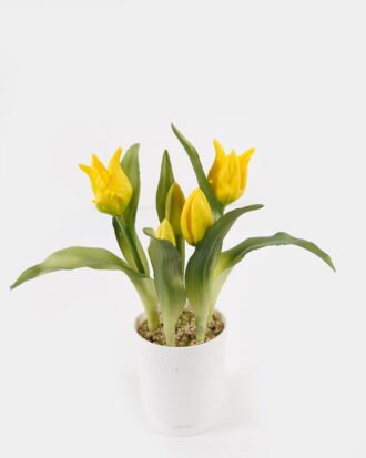 Artificial Flower 10*10*25cm Tulipa *5 in pp pot GS-46725059 2025JUL YeahFlower is one of Chinese leading OEM manufacturers and exporters , supplying the silk flowers, wholesale artificial trees Artificial Flower 10*10*25cm Tulipa *5 in pp pot GS-46725059 2025JUL YeahFlower is one of Chinese leading OEM manufacturers and exporters , supplying the silk flowers, wholesale artificial trees