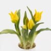 Artificial Flower 10*10*25cm Tulipa *5 in pp pot GS-46725059 2025JUL YeahFlower is one of Chinese leading OEM manufacturers and exporters , supplying the silk flowers, wholesale artificial trees