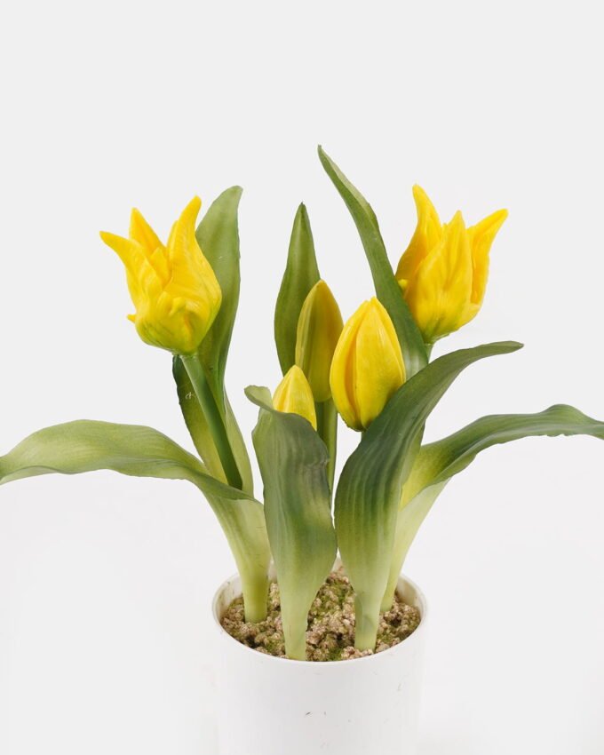 Artificial Flower 10*10*25cm Tulipa *5 in pp pot GS-46725059 2025JUL YeahFlower is one of Chinese leading OEM manufacturers and exporters , supplying the silk flowers, wholesale artificial trees
