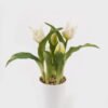 Artificial Flower 10*10*25cm Tulipa *5 in pp pot GS-46725059 2025JUL YeahFlower is one of Chinese leading OEM manufacturers and exporters , supplying the silk flowers, wholesale artificial trees
