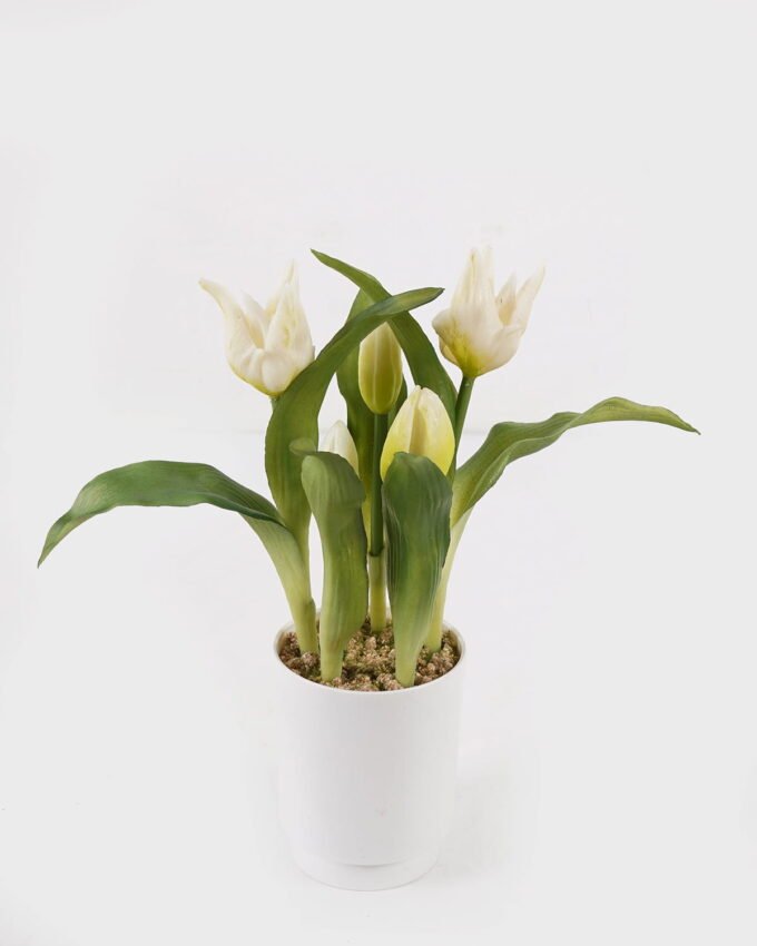 Artificial Flower 10*10*25cm Tulipa *5 in pp pot GS-46725059 2025JUL YeahFlower is one of Chinese leading OEM manufacturers and exporters , supplying the silk flowers, wholesale artificial trees