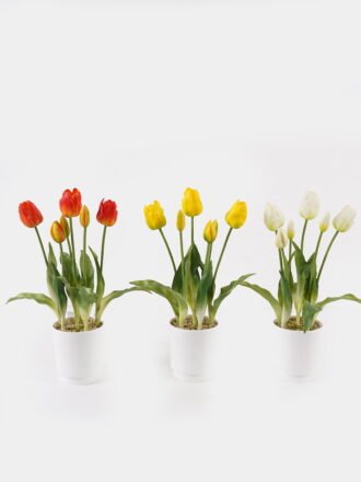 Artificial Flower 10*10*25cm Tulipa *5 in pp pot GS-46725059 2025JUL 3,000+ sqm showroom with thousands of artificial flowers, plants & trees ready for global sourcing.
