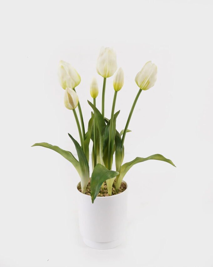 Artificial Flower 23*23*40cm Tulipa *6 in pp pot GS-46725058 2025JUL YeahFlower is one of Chinese leading OEM manufacturers and exporters , supplying the silk flowers, wholesale artificial trees