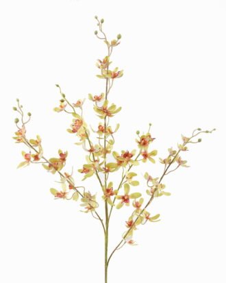 Artificial Flower 15*15*104cm Vanda *5 single stem GS-79825003 2025SEP YeahFlower is one of Chinese leading OEM manufacturers and exporters , supplying the silk flowers, wholesale artificial trees Artificial Flower 15*15*104cm Vanda *5 single stem GS-79825003 2025SEP YeahFlower is one of Chinese leading OEM manufacturers and exporters , supplying the silk flowers, wholesale artificial trees