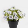 Artificial Flower 15*15*17cm Wild Daisy in PP pot GS-03325004 2025JUL YeahFlower is one of Chinese leading OEM manufacturers and exporters , supplying the silk flowers, wholesale artificial trees