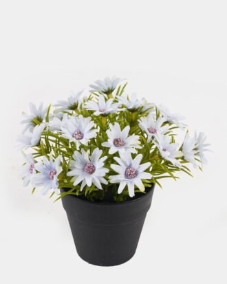 Artificial Flower 15*15*17cm Wild Daisy in PP pot GS-03325004 2025JUL YeahFlower is one of Chinese leading OEM manufacturers and exporters , supplying the silk flowers, wholesale artificial trees