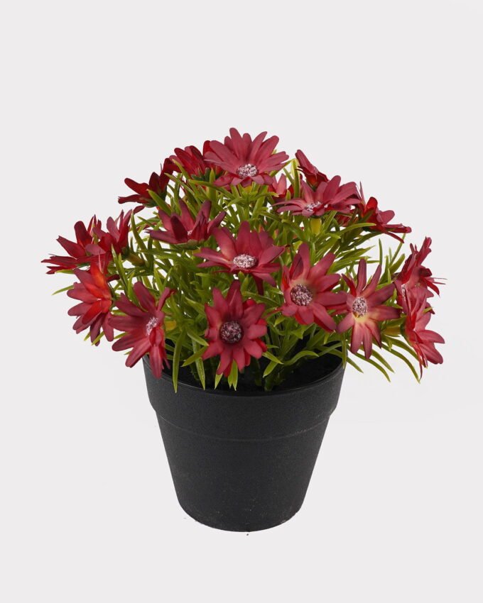 Artificial Flower 15*15*17cm Wild Daisy in PP pot GS-03325004 2025JUL YeahFlower is one of Chinese leading OEM manufacturers and exporters , supplying the silk flowers, wholesale artificial trees