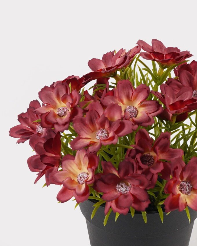 Artificial Flower 17*17*18cm Wild flower in PP pot GS-03325005-R2 2025JUL YeahFlower is one of Chinese leading OEM manufacturers and exporters , supplying the silk flowers, wholesale artificial trees