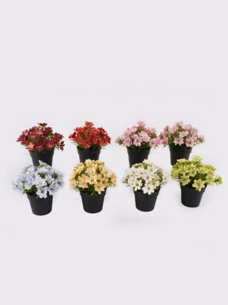 Artificial Flower 15*15*17cm Wild Daisy in PP pot GS-03325004 2025JUL 3,000+ sqm showroom with thousands of artificial flowers, plants & trees ready for global sourcing.