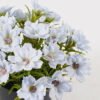 Artificial Flower 17*17*18cm Wild flower in PP pot GS-03325005 2025JUL YeahFlower is one of Chinese leading OEM manufacturers and exporters , supplying the silk flowers, wholesale artificial trees