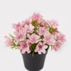 Artificial Flower 17*17*18cm Wild flower in PP pot GS-03325005 2025JUL YeahFlower is one of Chinese leading OEM manufacturers and exporters , supplying the silk flowers, wholesale artificial trees