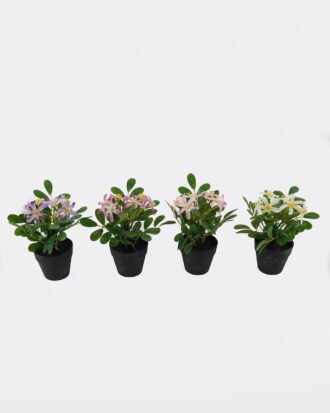 Artificial Flower 17*17*20cm Wild flower in PP pot GS-03325014 2025JUL YeahFlower is one of Chinese leading OEM manufacturers and exporters , supplying the silk flowers, wholesale artificial trees Artificial Flower 17*17*20cm Wild flower in PP pot GS-03325014 2025JUL YeahFlower is one of Chinese leading OEM manufacturers and exporters , supplying the silk flowers, wholesale artificial trees