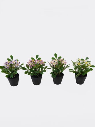 Artificial Flower 20*20*18cm Daisy in PP pot GS-03325013-P1 2025JUL 3,000+ sqm showroom with thousands of artificial flowers, plants & trees ready for global sourcing.