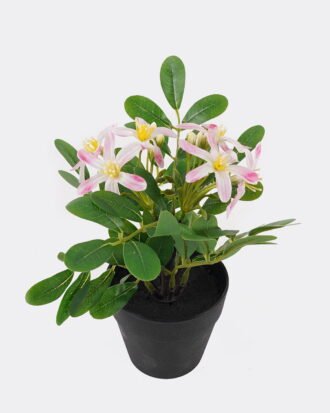 Artificial Flower 17*17*20cm Wild flower in PP pot GS-03325014 2025JUL YeahFlower is one of Chinese leading OEM manufacturers and exporters , supplying the silk flowers, wholesale artificial trees Artificial Flower 17*17*20cm Wild flower in PP pot GS-03325014 2025JUL YeahFlower is one of Chinese leading OEM manufacturers and exporters , supplying the silk flowers, wholesale artificial trees