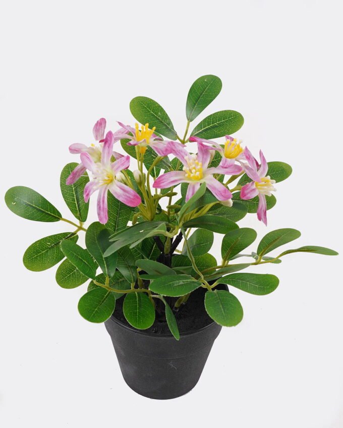 Artificial Flower Wild flower in PP pot GS-03325014_3 Artificial Flower 17*17*20cm Wild flower in PP pot GS-03325014 2025JUL YeahFlower is one of Chinese leading OEM manufacturers and exporters , supplying the silk flowers, wholesale artificial trees