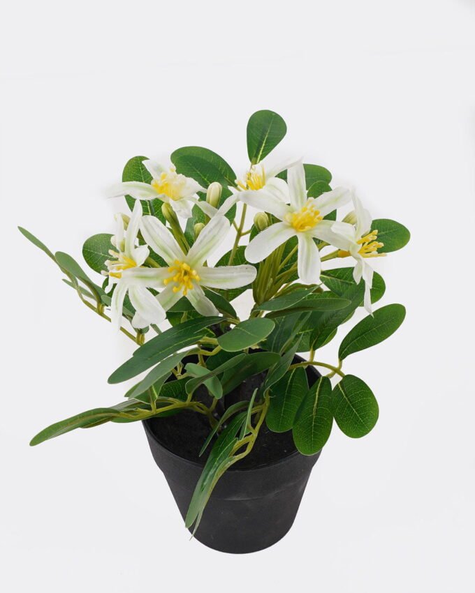 Artificial Flower Wild flower in PP pot GS-03325014_4 Artificial Flower 17*17*20cm Wild flower in PP pot GS-03325014 2025JUL YeahFlower is one of Chinese leading OEM manufacturers and exporters , supplying the silk flowers, wholesale artificial trees