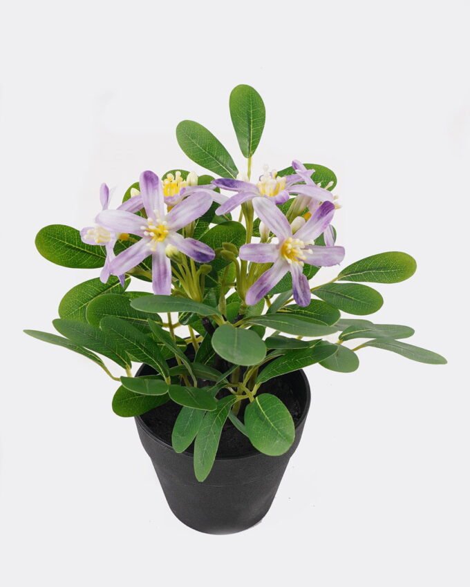 Artificial Flower Wild flower in PP pot GS-03325014_5 Artificial Flower 17*17*20cm Wild flower in PP pot GS-03325014 2025JUL YeahFlower is one of Chinese leading OEM manufacturers and exporters , supplying the silk flowers, wholesale artificial trees