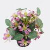 Artificial Flower Wild flower in PP pot GS-03325015_3 Artificial Flower 16*16*18cm Wild flower in PP pot GS-03325015 2025JUL YeahFlower is one of Chinese leading OEM manufacturers and exporters , supplying the silk flowers, wholesale artificial trees