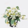 Artificial Flower Wild flower in PP pot GS-03325015_4 Artificial Flower 16*16*18cm Wild flower in PP pot GS-03325015 2025JUL YeahFlower is one of Chinese leading OEM manufacturers and exporters , supplying the silk flowers, wholesale artificial trees