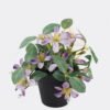 Artificial Flower Wild flower in PP pot GS-03325015_5 Artificial Flower 16*16*18cm Wild flower in PP pot GS-03325015 2025JUL YeahFlower is one of Chinese leading OEM manufacturers and exporters , supplying the silk flowers, wholesale artificial trees