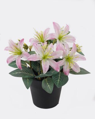 Artificial Flower 20*20*21cm Wild flower in PP pot GS-03325017 2025JUL YeahFlower is one of Chinese leading OEM manufacturers and exporters , supplying the silk flowers, wholesale artificial trees Artificial Flower 20*20*21cm Wild flower in PP pot GS-03325017 2025JUL YeahFlower is one of Chinese leading OEM manufacturers and exporters , supplying the silk flowers, wholesale artificial trees