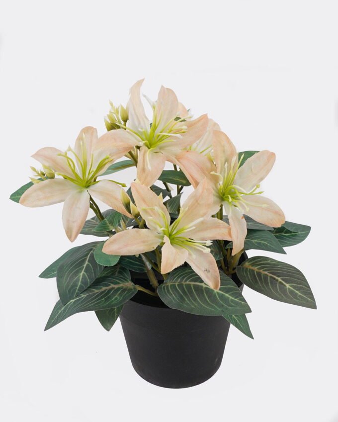 Artificial Flower Wild flower in PP pot GS-03325017_4 Artificial Flower 20*20*21cm Wild flower in PP pot GS-03325017 2025JUL YeahFlower is one of Chinese leading OEM manufacturers and exporters , supplying the silk flowers, wholesale artificial trees