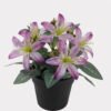 Artificial Flower Wild flower in PP pot GS-03325017_5 Artificial Flower 20*20*21cm Wild flower in PP pot GS-03325017 2025JUL YeahFlower is one of Chinese leading OEM manufacturers and exporters , supplying the silk flowers, wholesale artificial trees