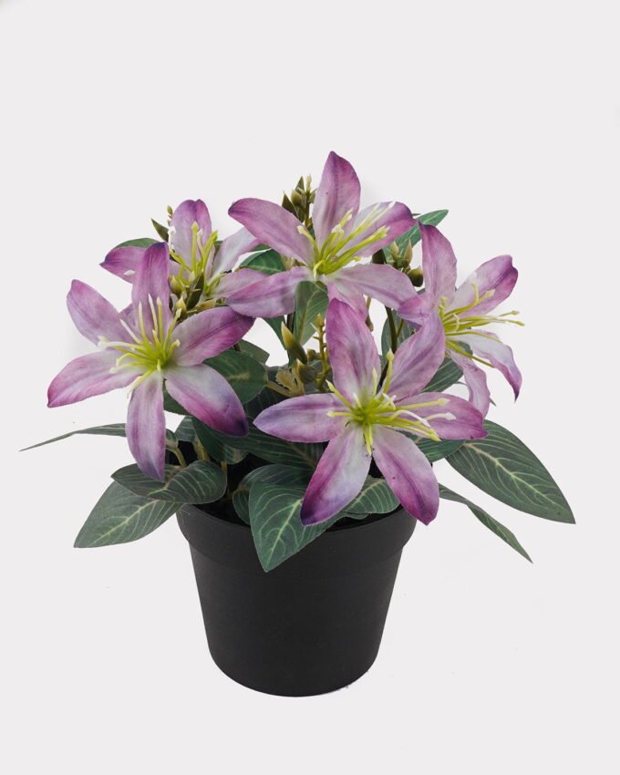 Artificial Flower Wild flower in PP pot GS-03325017_5 Artificial Flower 20*20*21cm Wild flower in PP pot GS-03325017 2025JUL YeahFlower is one of Chinese leading OEM manufacturers and exporters , supplying the silk flowers, wholesale artificial trees