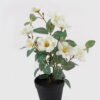 Artificial Flower 22*22*35cm Wild flower in PP pot GS-03325024-W1 2025JUL YeahFlower is one of Chinese leading OEM manufacturers and exporters , supplying the silk flowers, wholesale artificial trees
