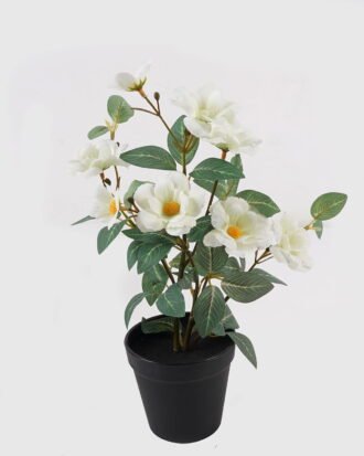 Artificial Flower 22*22*35cm Wild flower in PP pot GS-03325024-W1 2025JUL YeahFlower is one of Chinese leading OEM manufacturers and exporters , supplying the silk flowers, wholesale artificial trees