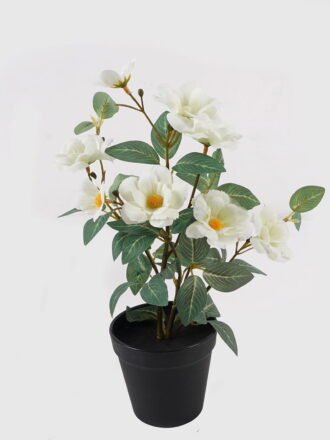 Artificial Flower 22*22*35cm Wild flower in PP pot GS-03325024 2025JUL 3,000+ sqm showroom with thousands of artificial flowers, plants & trees ready for global sourcing.