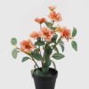 Artificial Flower 22*22*35cm Wild flower in PP pot GS-03325024 2025JUL YeahFlower is one of Chinese leading OEM manufacturers and exporters , supplying the silk flowers, wholesale artificial trees