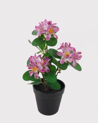 Artificial Flower 24*24*37cm Wild flower in PP pot GS-03325025-P2 2025JUL YeahFlower is one of Chinese leading OEM manufacturers and exporters , supplying the silk flowers, wholesale artificial trees Artificial Flower 24*24*37cm Wild flower in PP pot GS-03325025-P2 2025JUL YeahFlower is one of Chinese leading OEM manufacturers and exporters , supplying the silk flowers, wholesale artificial trees