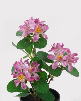 Artificial Flower 24*24*37cm Wild flower in PP pot GS-03325025-P2 2025JUL YeahFlower is one of Chinese leading OEM manufacturers and exporters , supplying the silk flowers, wholesale artificial trees Artificial Flower 24*24*37cm Wild flower in PP pot GS-03325025-P2 2025JUL YeahFlower is one of Chinese leading OEM manufacturers and exporters , supplying the silk flowers, wholesale artificial trees