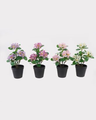 Artificial Flower 24*24*37cm Wild flower in PP pot GS-03325025 2025JUL YeahFlower is one of Chinese leading OEM manufacturers and exporters , supplying the silk flowers, wholesale artificial trees Artificial Flower 24*24*37cm Wild flower in PP pot GS-03325025 2025JUL YeahFlower is one of Chinese leading OEM manufacturers and exporters , supplying the silk flowers, wholesale artificial trees