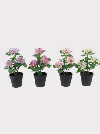 Artificial Flower 20*20*21cm Clematis in PP pot GS-03325018-Z1 2025JUL 3,000+ sqm showroom with thousands of artificial flowers, plants & trees ready for global sourcing.