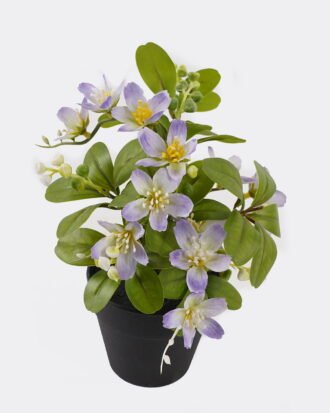 Artificial Flower 18*18*24cm Winter jasmine in PP pot GS-03325011-Z1 2025JUL YeahFlower is one of Chinese leading OEM manufacturers and exporters , supplying the silk flowers, wholesale artificial trees Artificial Flower 18*18*24cm Winter jasmine in PP pot GS-03325011-Z1 2025JUL YeahFlower is one of Chinese leading OEM manufacturers and exporters , supplying the silk flowers, wholesale artificial trees