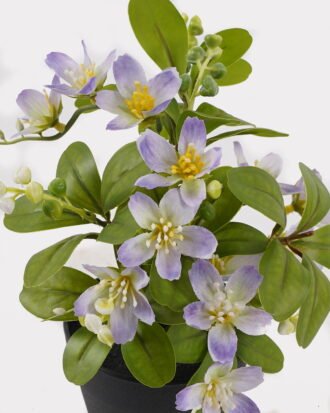 Artificial Flower 18*18*24cm Winter jasmine in PP pot GS-03325011-Z1 2025JUL YeahFlower is one of Chinese leading OEM manufacturers and exporters , supplying the silk flowers, wholesale artificial trees Artificial Flower 18*18*24cm Winter jasmine in PP pot GS-03325011-Z1 2025JUL YeahFlower is one of Chinese leading OEM manufacturers and exporters , supplying the silk flowers, wholesale artificial trees