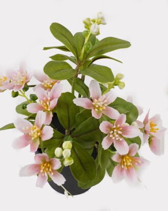 Artificial Flower 18*18*24cm Winter jasmine in PP pot GS-03325011 2025JUL YeahFlower is one of Chinese leading OEM manufacturers and exporters , supplying the silk flowers, wholesale artificial trees Artificial Flower 18*18*24cm Winter jasmine in PP pot GS-03325011 2025JUL YeahFlower is one of Chinese leading OEM manufacturers and exporters , supplying the silk flowers, wholesale artificial trees