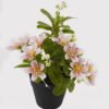 Artificial Flower Winter jasmine in PP pot GS-03325011_3 Artificial Flower 18*18*24cm Winter jasmine in PP pot GS-03325011 2025JUL YeahFlower is one of Chinese leading OEM manufacturers and exporters , supplying the silk flowers, wholesale artificial trees