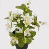Artificial Flower Winter jasmine in PP pot GS-03325011_5 Artificial Flower 18*18*24cm Winter jasmine in PP pot GS-03325011 2025JUL YeahFlower is one of Chinese leading OEM manufacturers and exporters , supplying the silk flowers, wholesale artificial trees
