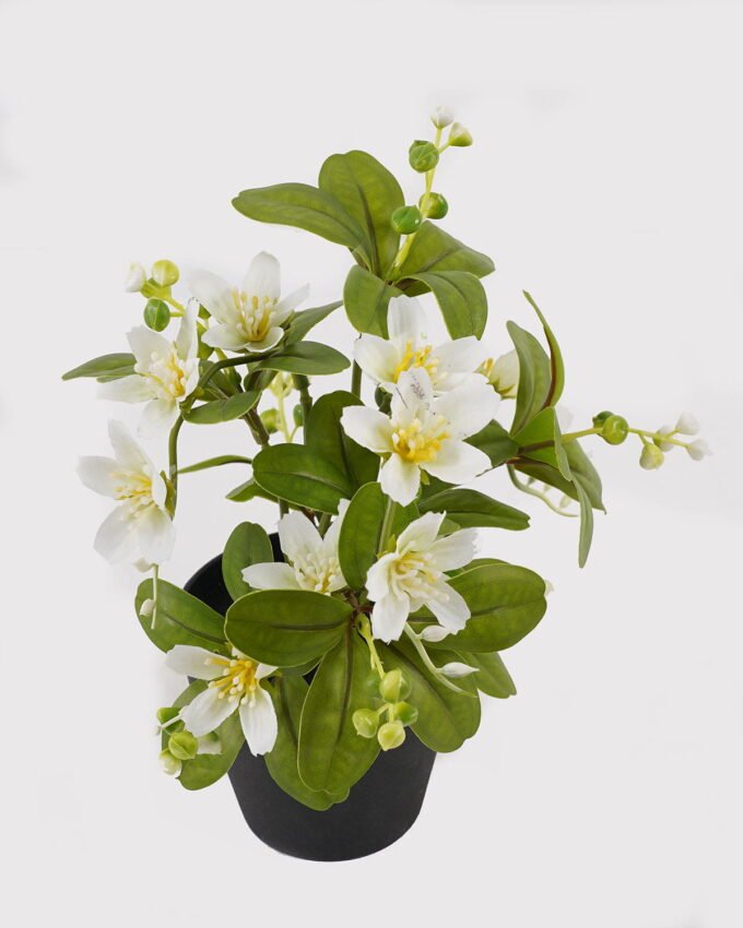 Artificial Flower Winter jasmine in PP pot GS-03325011_5 Artificial Flower 18*18*24cm Winter jasmine in PP pot GS-03325011 2025JUL YeahFlower is one of Chinese leading OEM manufacturers and exporters , supplying the silk flowers, wholesale artificial trees