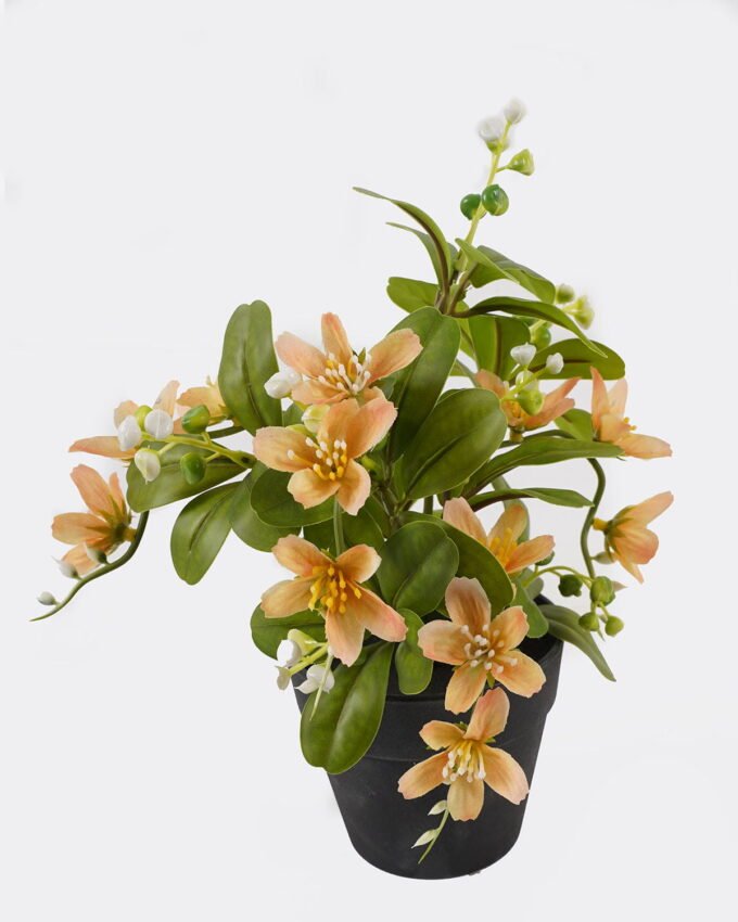 Artificial Flower Winter jasmine in PP pot GS-03325011_6 Artificial Flower 18*18*24cm Winter jasmine in PP pot GS-03325011 2025JUL YeahFlower is one of Chinese leading OEM manufacturers and exporters , supplying the silk flowers, wholesale artificial trees