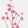 Artificial Flower 13*13*88cm Wintersweet single stem GS-68125001-R2 2025AUG YeahFlower is one of Chinese leading OEM manufacturers and exporters , supplying the silk flowers, wholesale artificial trees