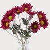 Artificial Flower 13*13*23cm chrysanthemum in Glass ware GS-06925026 2025JUL YeahFlower is one of Chinese leading OEM manufacturers and exporters , supplying the silk flowers, wholesale artificial trees