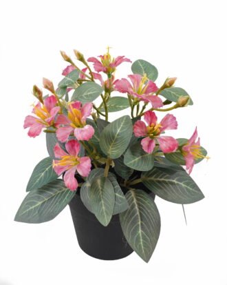 Artificial Flower 15*15*20cm mini Bauhinia in PP pot GS-03325006-R1 2025JUL YeahFlower is one of Chinese leading OEM manufacturers and exporters , supplying the silk flowers, wholesale artificial trees